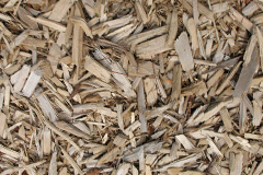 biomass boilers Tullibody